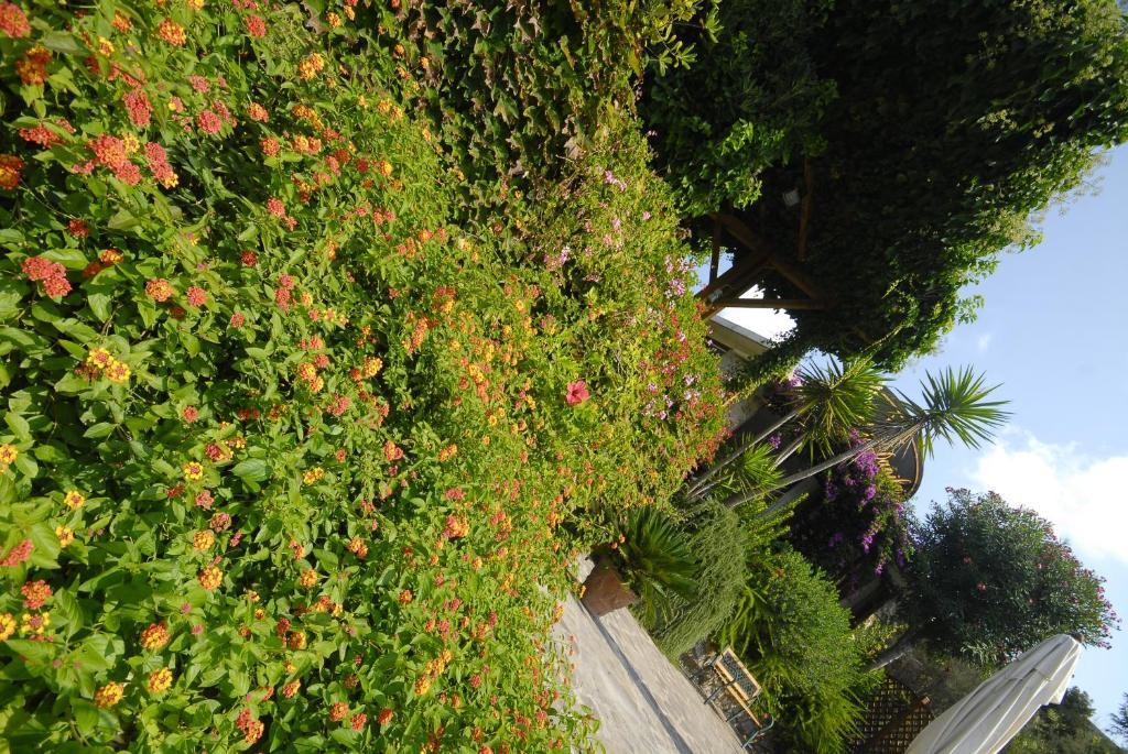 Hotel Danila Portoferraio Extérieur photo